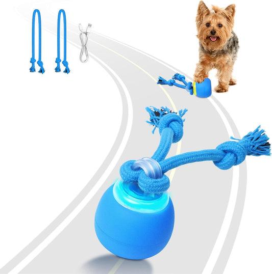 Interactive Dog Toys, Moving Dog Ball with Touch Activated