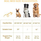 Orthopedic Pet Bed (Small Size) Dogs