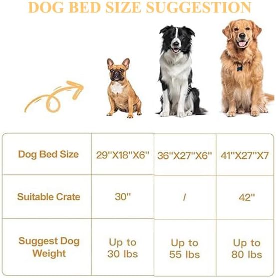 Orthopedic Pet Bed (Small Size) Dogs
