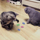 Andiker Cat Spiral Spring