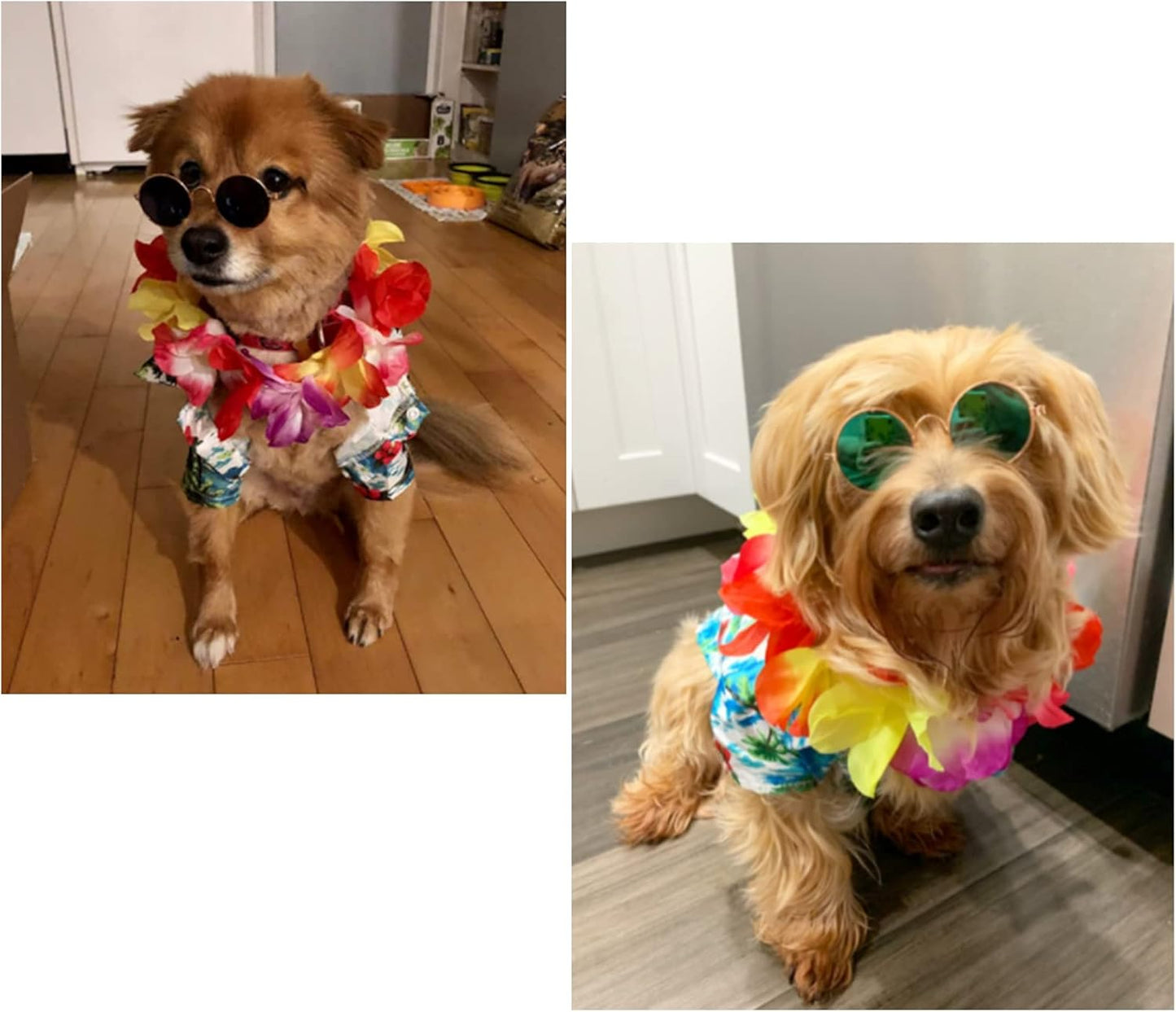 3 Pieces Pet Dog Hawaiian Costume, Includes Puppy Cool T-Shirts Summer Clothes, Funny Cute Dog Retro Fashion Sunglasses and a Colorful Wreath for Small to Medium pet(Green Series)