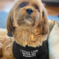 Cute Dog Clothes,Dog T Shirt for Medium Dogs.Dog Clothes for Small Dogs Girl Boy,Puppy.Breathable Soft Dog Costume for Pet Dogs Cats, Pet Pullover Jumper, Cat Clothes (L-(10~17lb), Chest~18", Khaki)