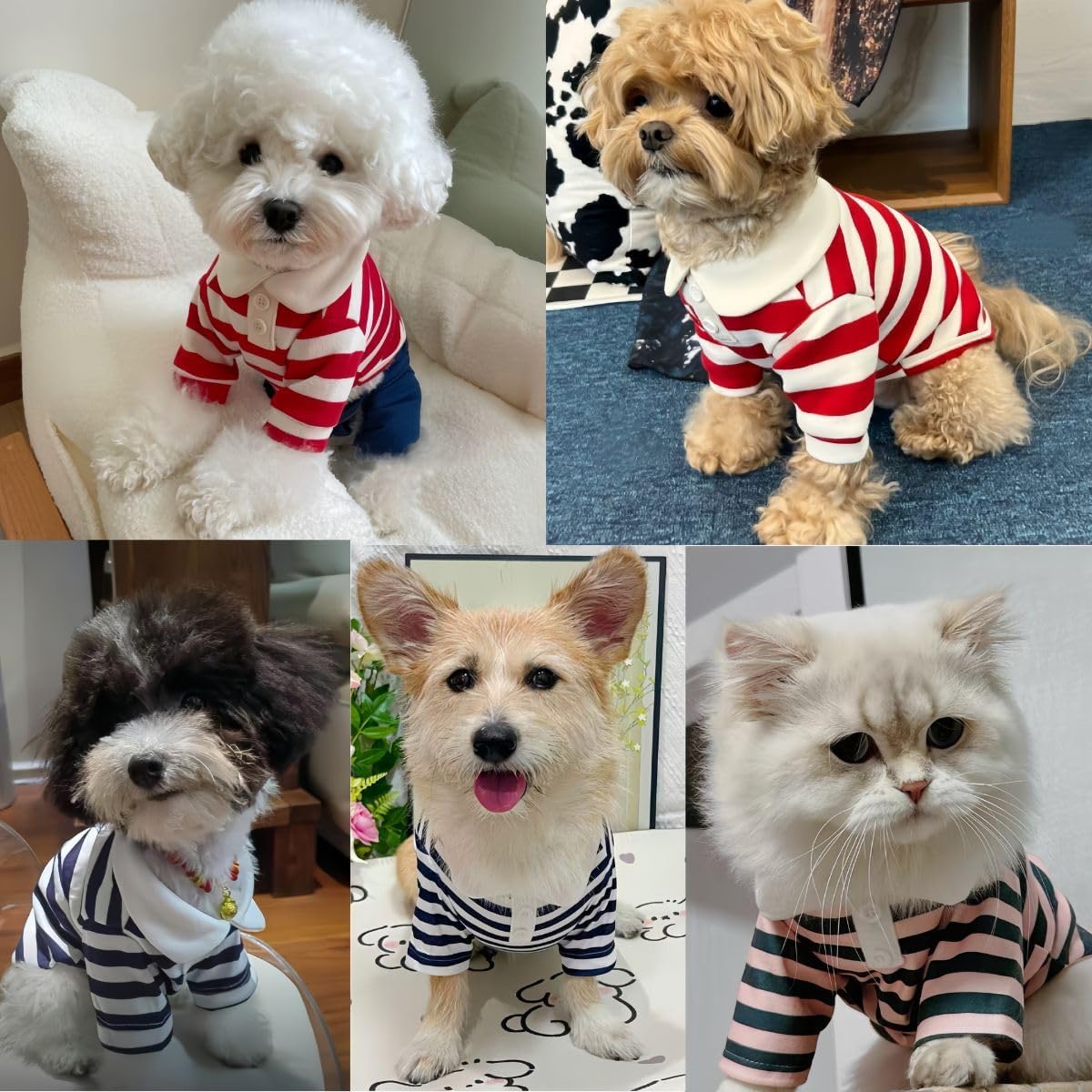 MANON ROSA Cute Dog Clothes Boy Dog Polo Shirt for Small Medium Dogs - Summer Male Puppy T Shirts for Yorkie Poodle Shih Tzu Dachshund Kittens, Striped Collared Pet Doggie Designer Outfits Red S