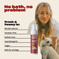 Fresh and Foamy Waterless Shampoo by Kaley Cuoco