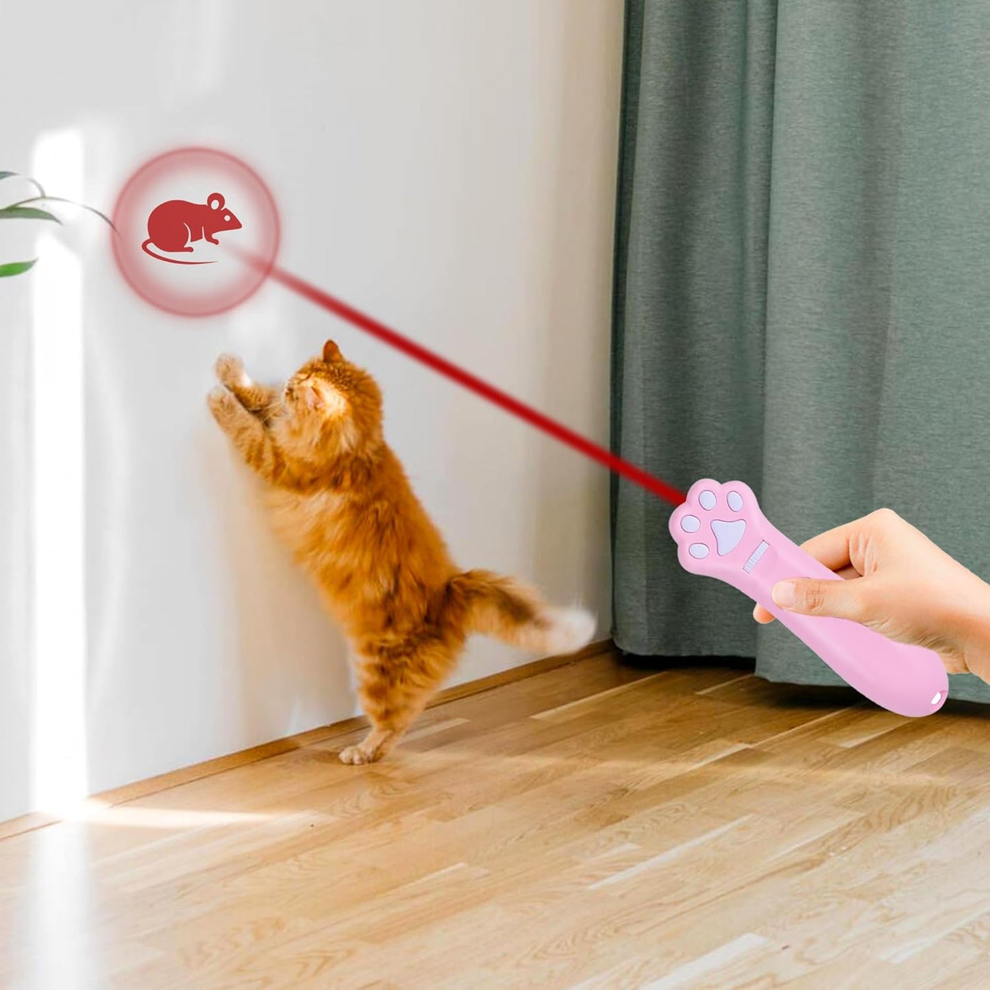 O'ANTOO Cat Toy - Dog Toy | Wall Image Projector |