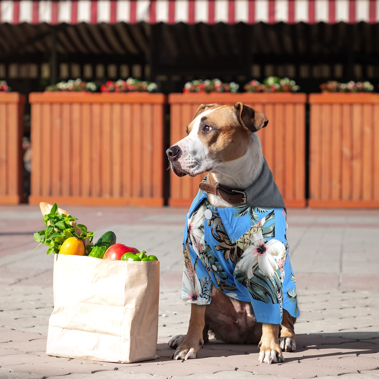 Weewooday 4 Pieces Pet Summer T-Shirts Hawaii Style Floral Pet Dog Shirt Breathable Cool Clothes Beach Seaside Puppy Sweatshirt for Small Puppy(Floral Style,Small)