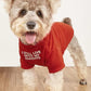 Cute Dog Clothes,Dog T Shirt for Medium Dogs.Dog Clothes for Small Dogs Girl Boy,Puppy.Breathable Soft Dog Costume for Pet Dogs Cats, Pet Pullover Jumper, Cat Clothes (L-(10~17lb), Chest~18", Khaki)
