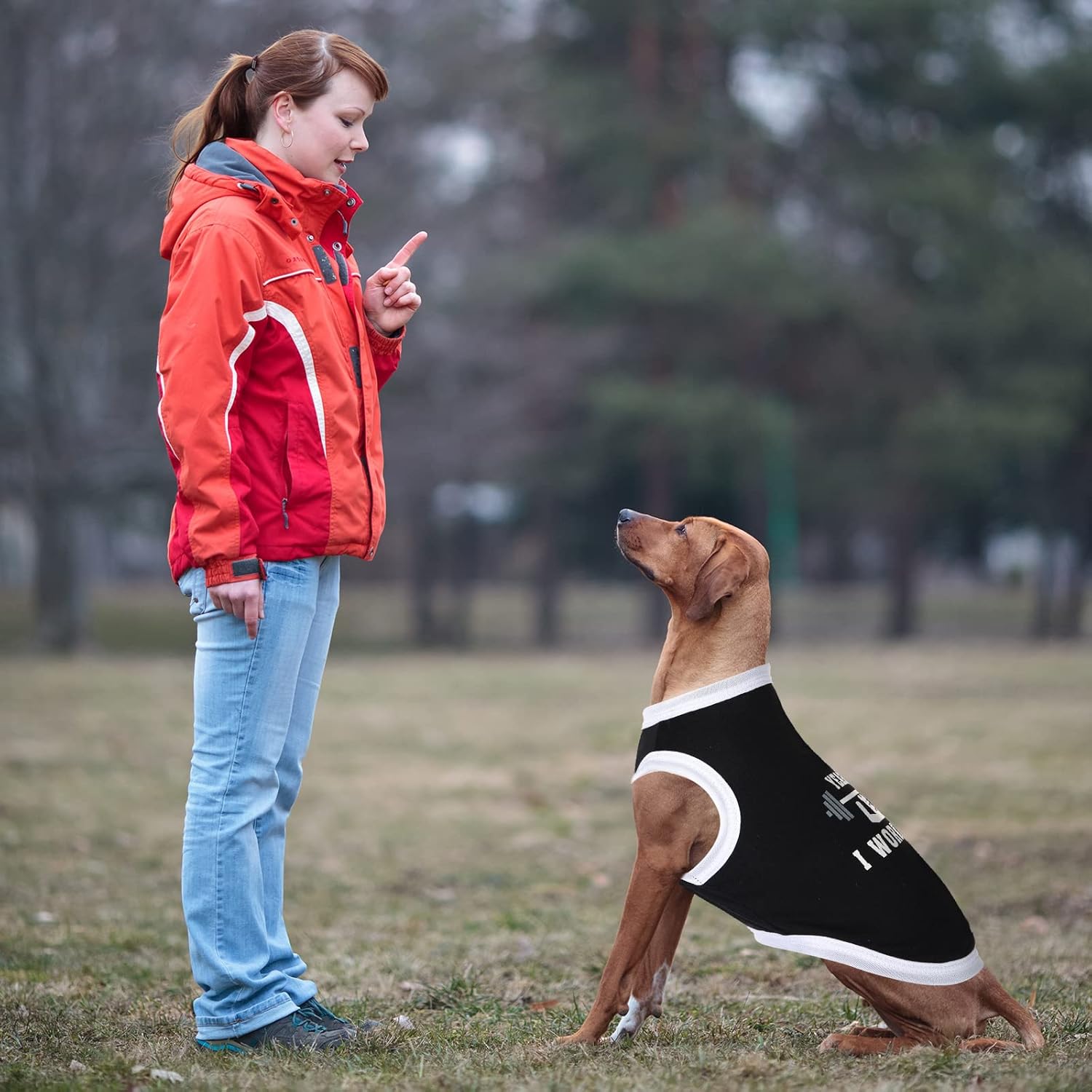 BBTO 12 Pieces Dog Shirts Pet Printed Clothes with Funny Letters Summer Pet T Shirts Cool Puppy Vest Breathable Dog Outfit Soft Cat Sweatshirt for Chihuahuas Cats Accessories, 12 Styles(Medium)