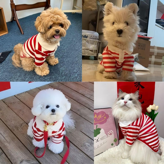 MANON ROSA Cute Dog Clothes Boy Dog Polo Shirt for Small Medium Dogs - Summer Male Puppy T Shirts for Yorkie Poodle Shih Tzu Dachshund Kittens, Striped Collared Pet Doggie Designer Outfits Red S
