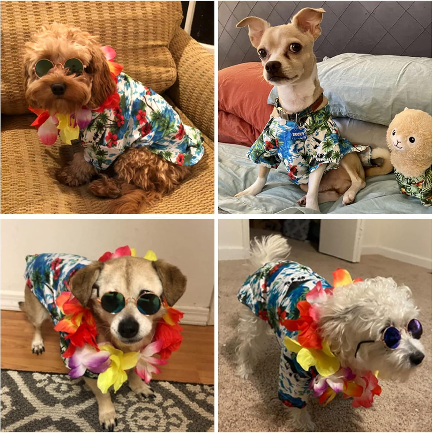 3 Pieces Pet Dog Hawaiian Costume, Includes Puppy Cool T-Shirts Summer Clothes, Funny Cute Dog Retro Fashion Sunglasses and a Colorful Wreath for Small to Medium pet(Green Series)
