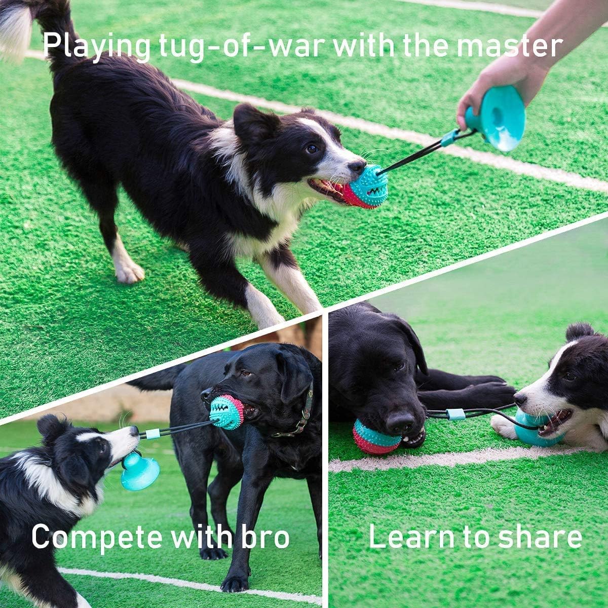 Interactive Dog Toys Tug of War