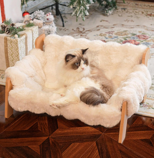 Elevated Cat Couch Bed for Indoor Cats