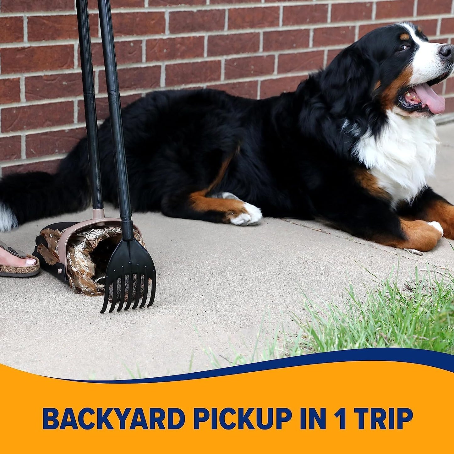 Arm & Hammer Dog Pooper Scooper Swivel Bin & Rake