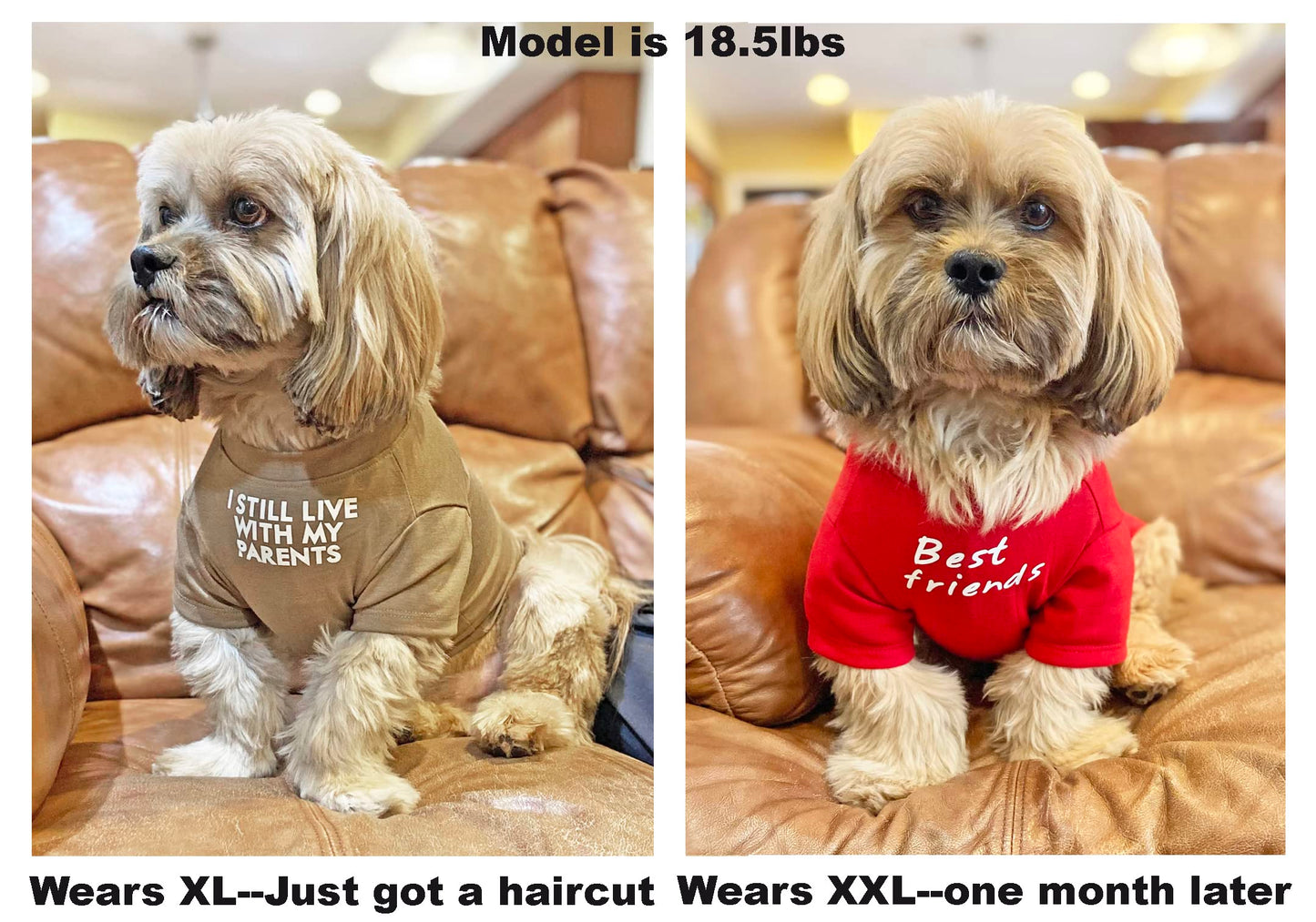 Cute Dog Clothes,Dog T Shirt for Medium Dogs.Dog Clothes for Small Dogs Girl Boy,Puppy.Breathable Soft Dog Costume for Pet Dogs Cats, Pet Pullover Jumper, Cat Clothes (L-(10~17lb), Chest~18", Khaki)