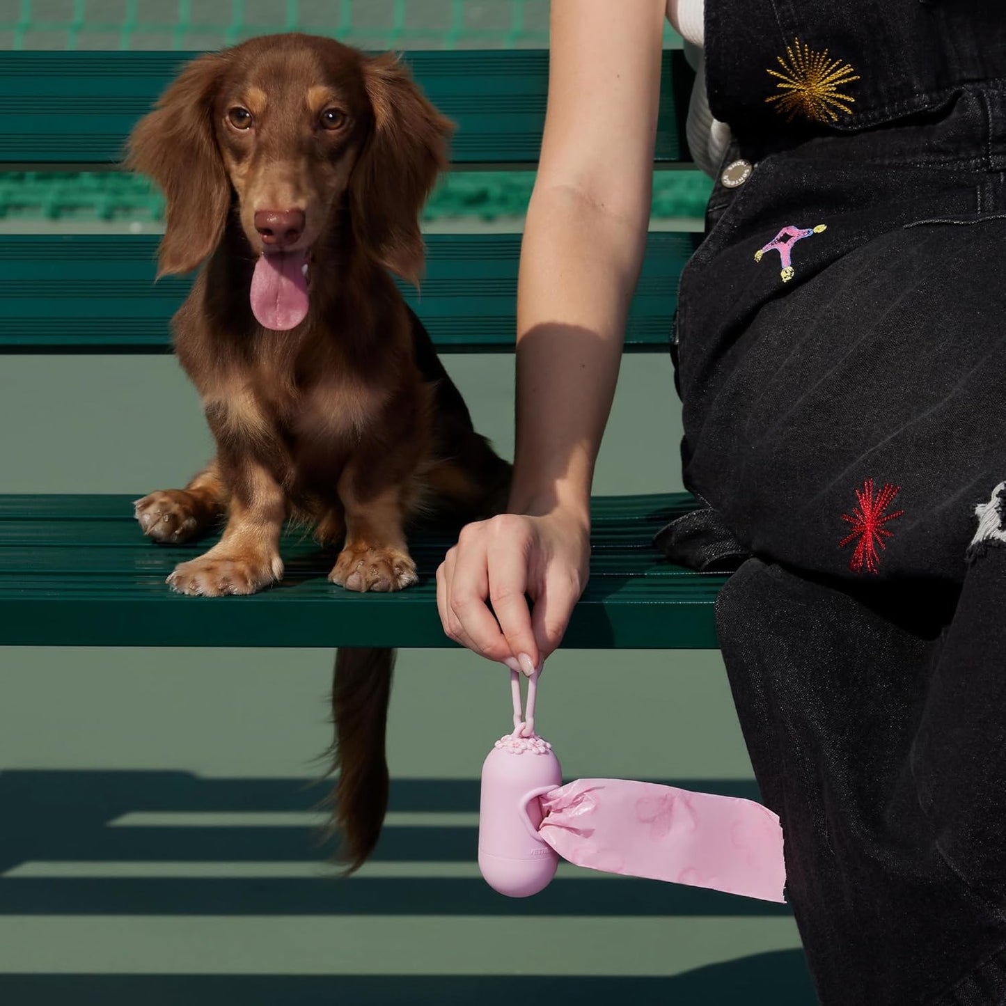 VETRESKA Dog Poop Bag Dispenser