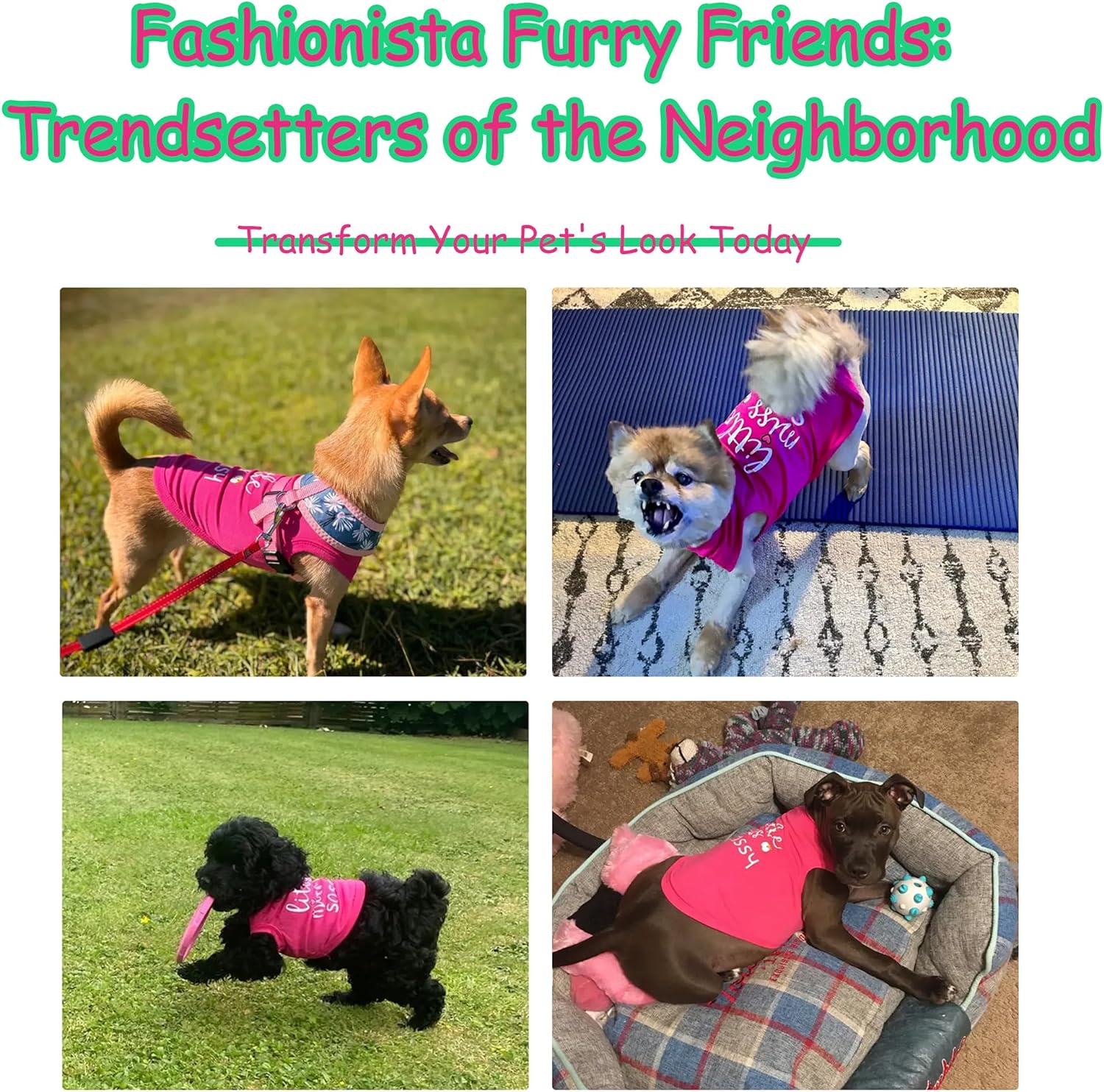 Paiaite Dog Clothes Fashionable Sleeveless Pet Vest: 'Little Miss Sassy' Printed Cotton Dog Shirt, Ideal for Small, Medium, and Large Breeds, Ensuring Comfort and Breathability Rose Red M