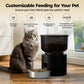 3L Automatic Cat Feeder & 3L Water Dispenser