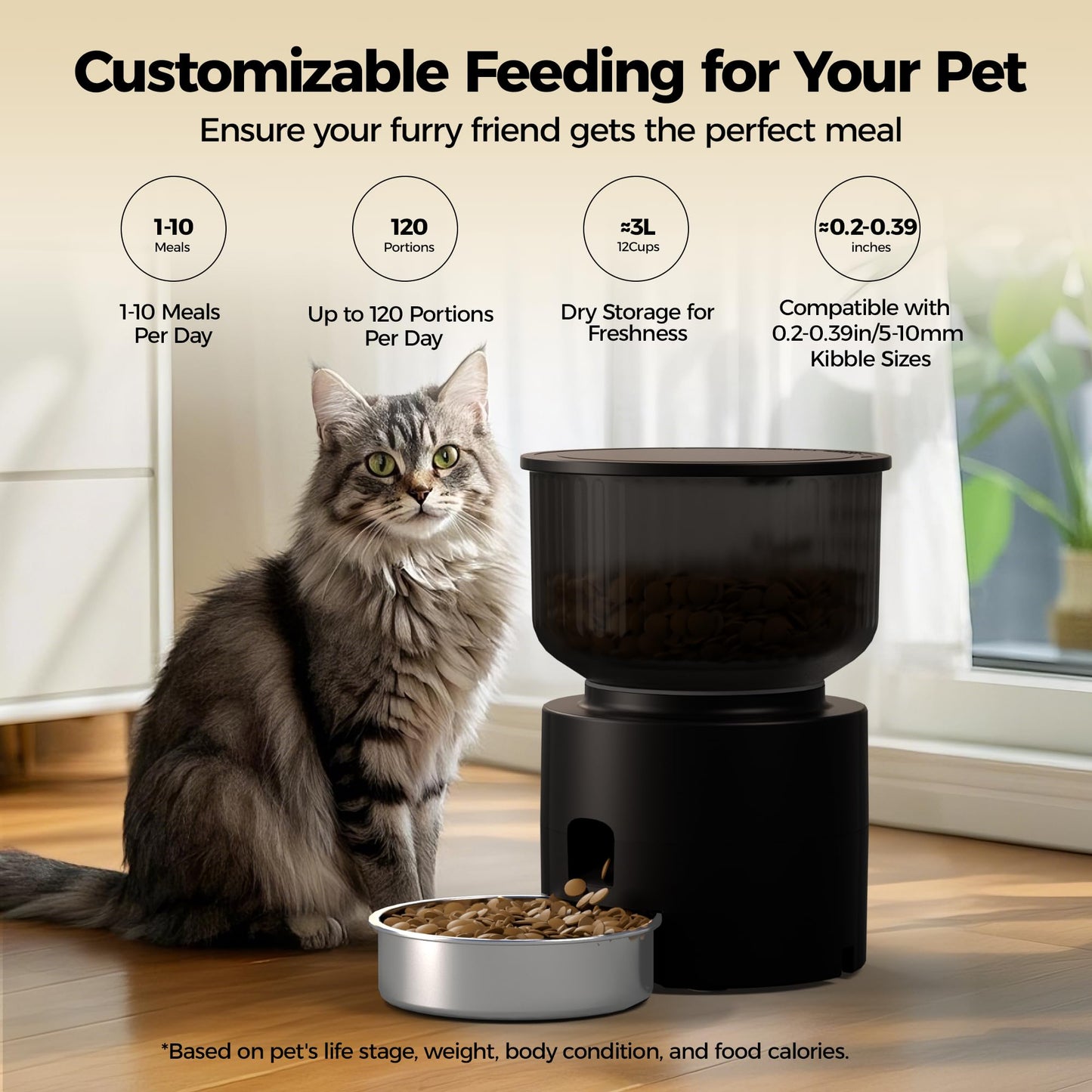 3L Automatic Cat Feeder & 3L Water Dispenser