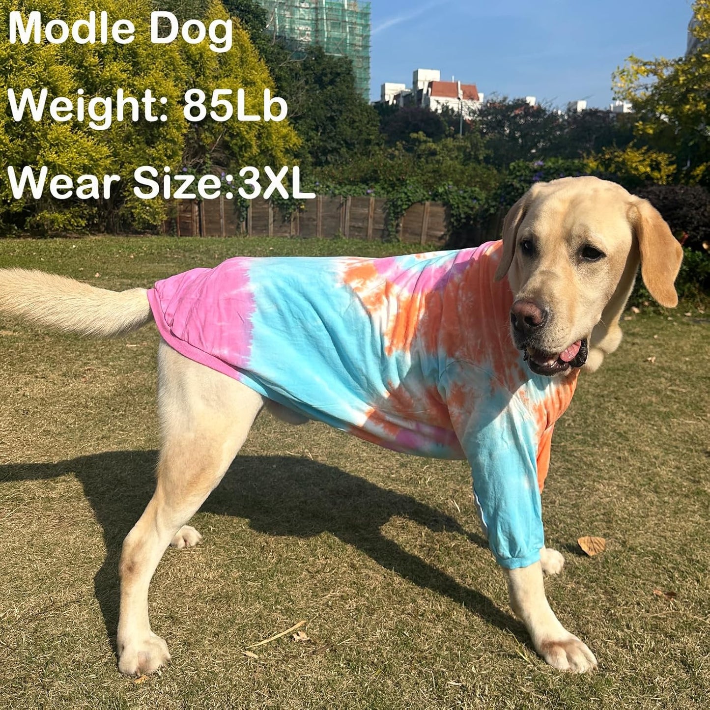 Dog Cotton Colorful Pink Orange T-Shirts Soft and Stretchy Dog Shirt Pajamas Pets Clothes for Large Dogs(XL PinkOrange)