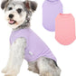 2 Pack Dog Clothes for Small Dogs Summer Dog Shirt Vest Girl Boy Lightweight Puppy T-Shirts Blank Soft and Cool Pet Clothing Sleeveless Medium Large Dog Outfit (Purple+L-Pink, Medium)