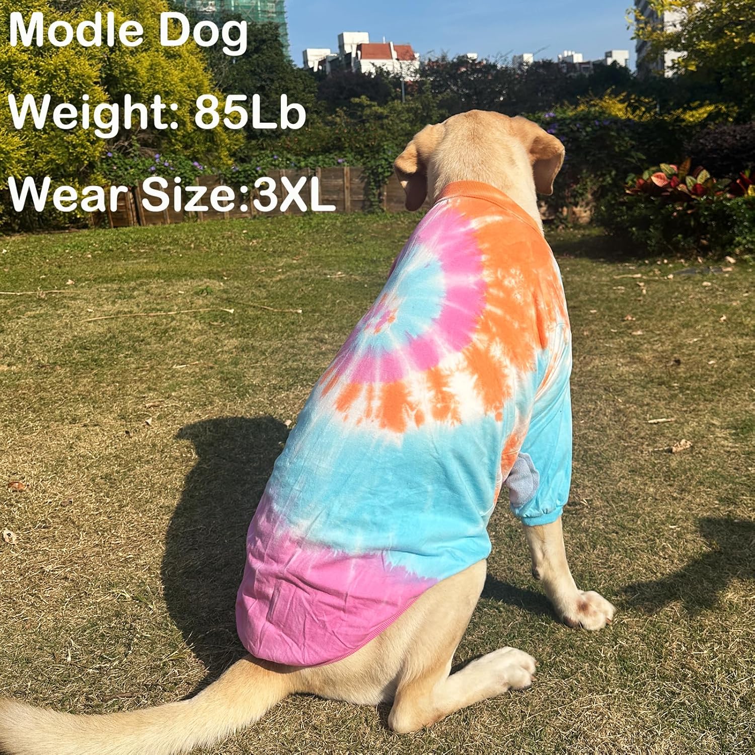 Dog Cotton Colorful Pink Orange T-Shirts Soft and Stretchy Dog Shirt Pajamas Pets Clothes for Large Dogs(XL PinkOrange)